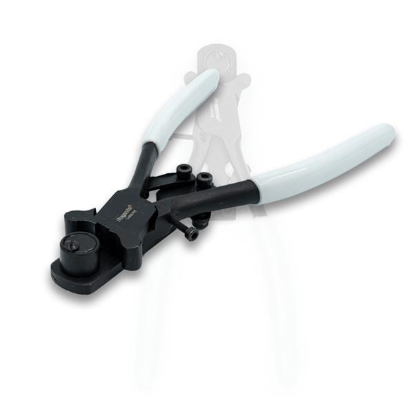 Ringbuigtang - Philios