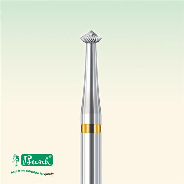 Gereedschap Busch dakfrees carbure